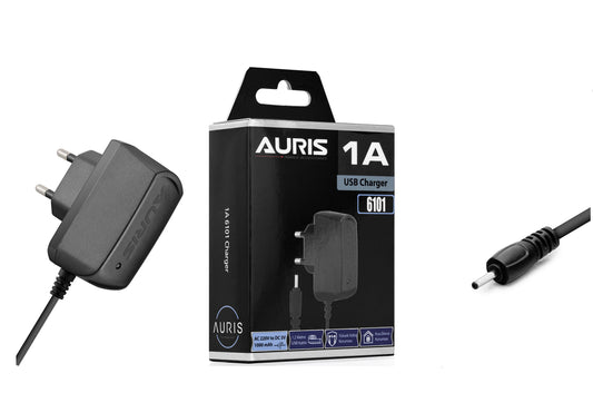 Toptan Şarj Aleti | Auris CH24 İnce Kutu Şarj 6101